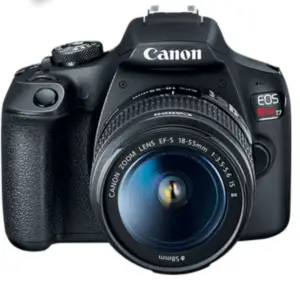 Canon Rebel T100 (EOS 4000D) vs Rebel T7 (EOS 2000D) Comparison 2021 Updated